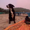 liiuuar Altpins Profile Picture