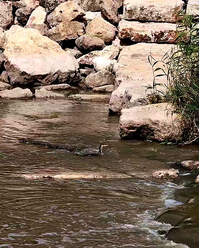 tinapavlov.sky tinapavlov.sky archive video