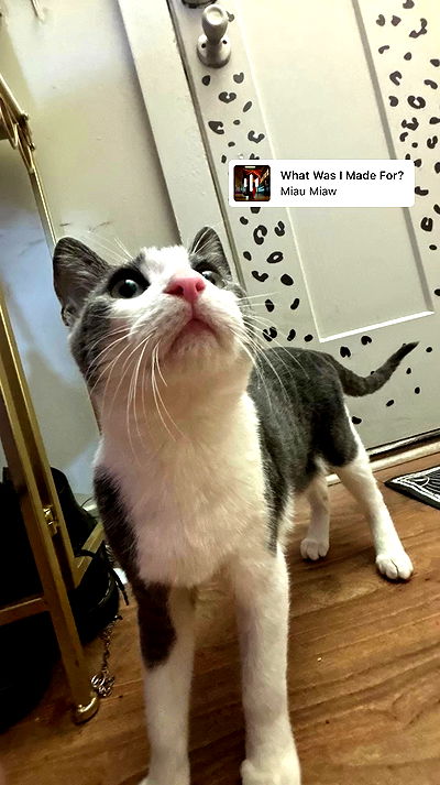 tatum.ricee tatum.ricee archive video