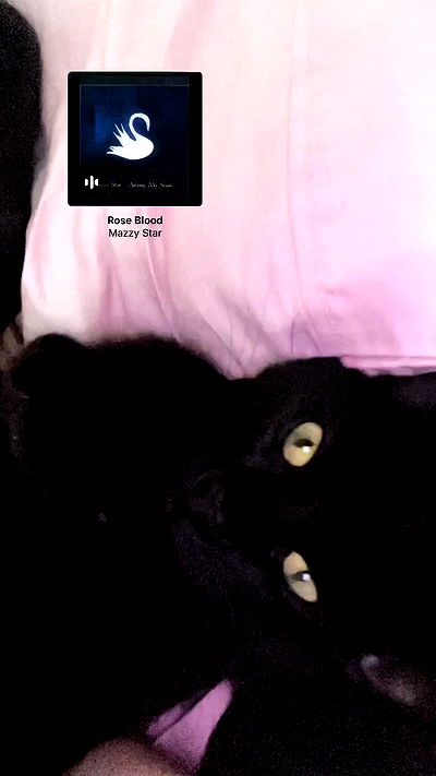 juliaelzz juliaelzz archive video