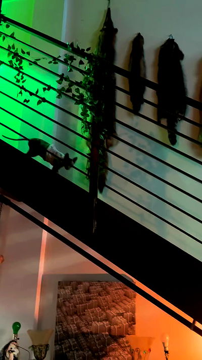 zommmbri zommmbri archive video