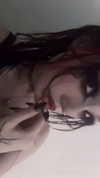 kill.ingkels Altpins Profile Picture