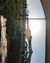maycohen8 Altpins Profile Picture