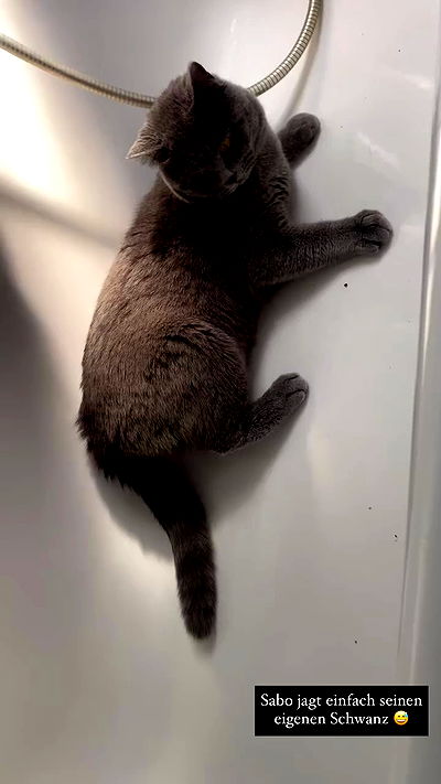 yoo.mon yoo.mon archive video