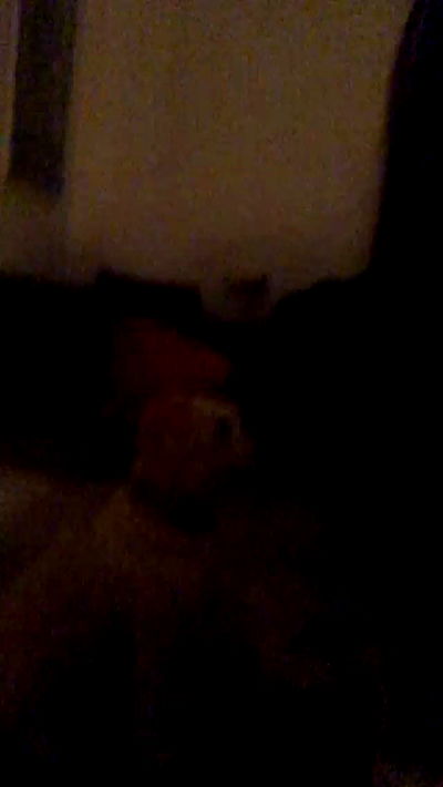 feelbetterinmysweater feelbetterinmysweater archive video