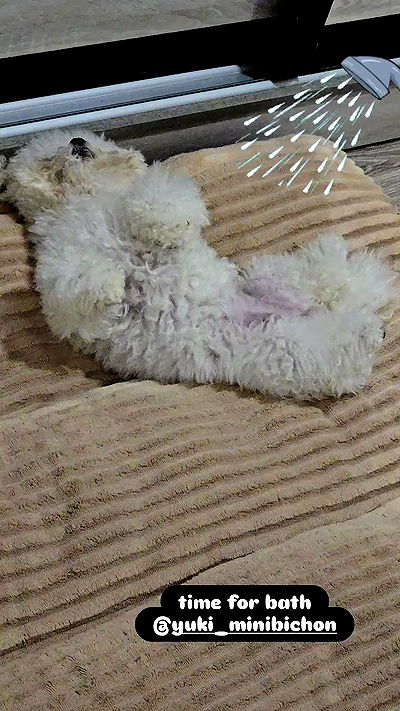 iamdorasnow iamdorasnow archive video