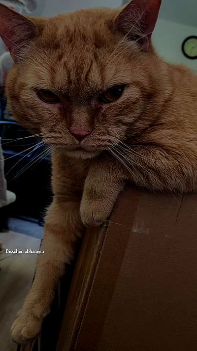 yoo.mon yoo.mon archive video