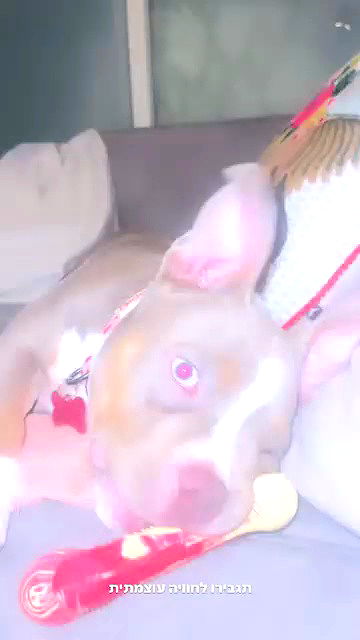 kesemgreenyer kesemgreenyer archive video