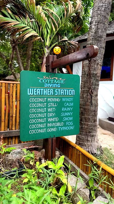 kesemgreenyer kesemgreenyer archive video