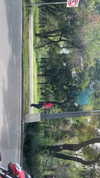 sydney_melman Altpins Profile Picture