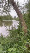 toharsandrusi Altpins Profile Picture
