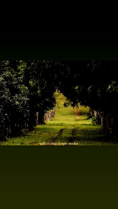 v.qx v.qx archive video