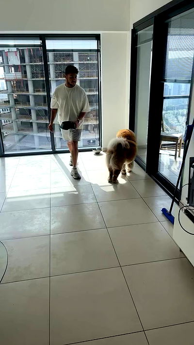 yannaidebeer yannaidebeer archive video