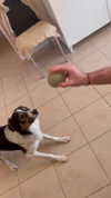 michelle_izraeli Altpins Profile Picture