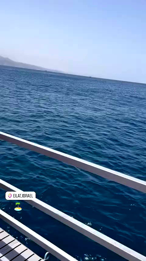 odeliapaltielov archive video preview