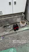 katie_westwood Altpins Profile Picture