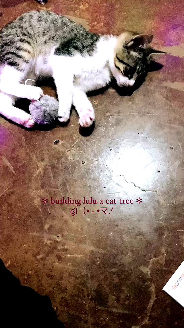 klarissasalazar archive video preview