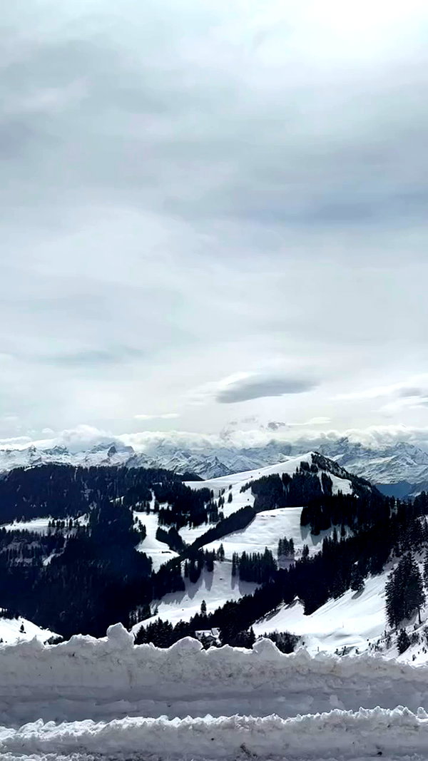 Noa Carmel archive video preview