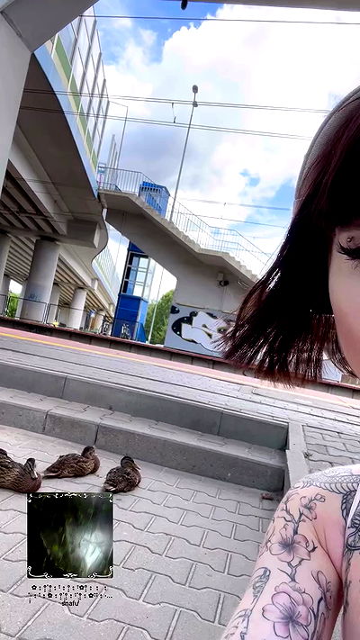 vwnrottie vwnrottie archive video