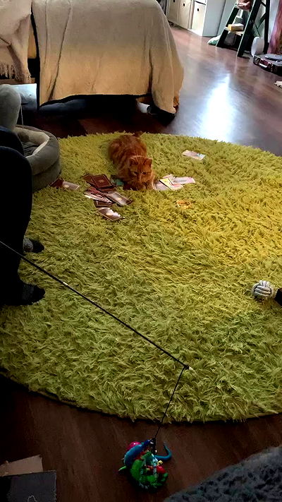 winbun.io winbun.io archive video