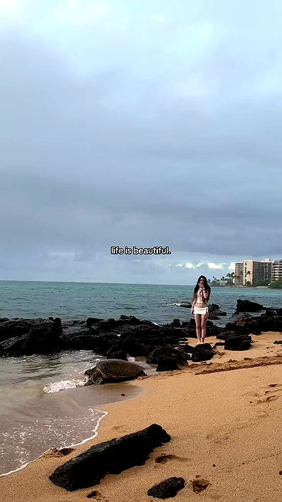 nevaaadaa nevaaadaa archive video