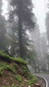 noa_mendel_ Altpins Profile Picture