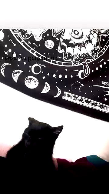 aekamee aekamee archive video