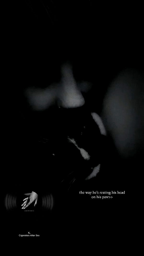 6nattynat9 archive video preview