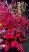 toharb_ Altpins Profile Picture