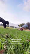 yuliarazi Altpins Profile Picture