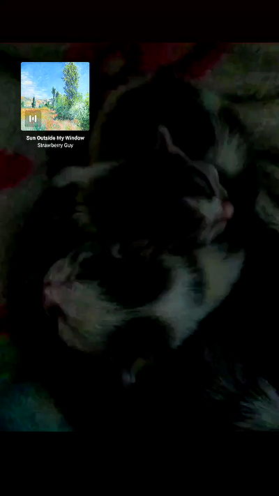 pinchchicken pinchchicken archive video