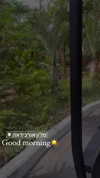 itay.basat Altpins Profile Picture