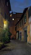 rozhinsafffar Altpins Profile Picture