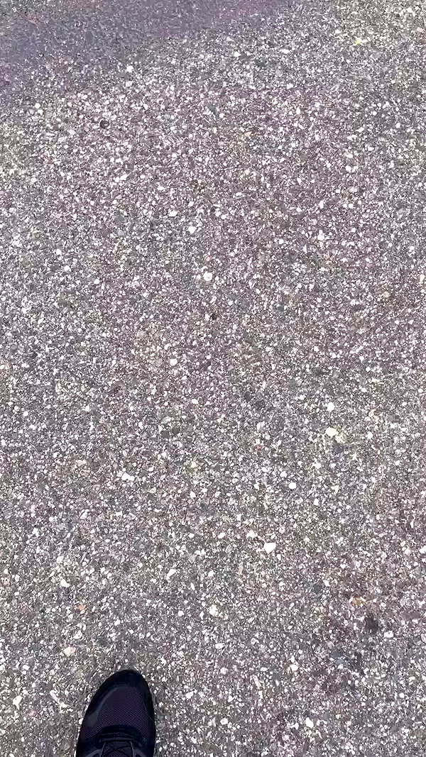 omer._shalom archive video preview