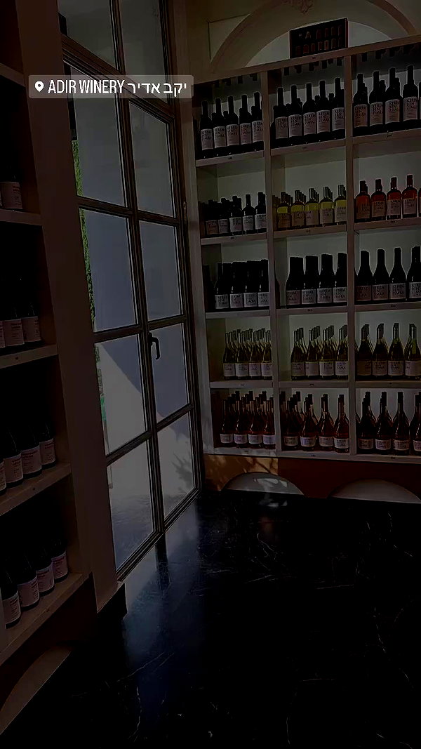 itay.basat archive video preview