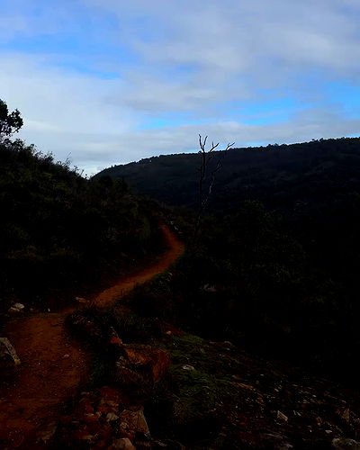 piper.jaylen piper.jaylen archive video