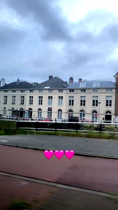 yam_adler yam_adler archive video