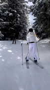 yuli.cohenn Altpins Profile Picture