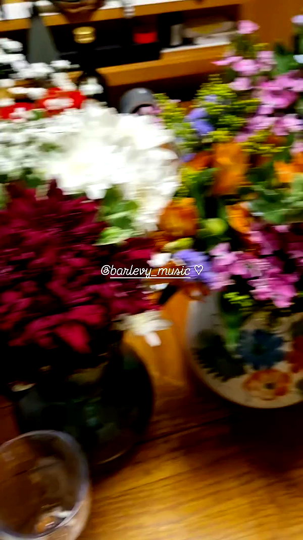 shayli_or archive video preview