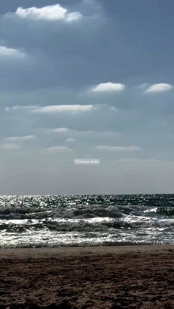 veronika_grish archive video preview