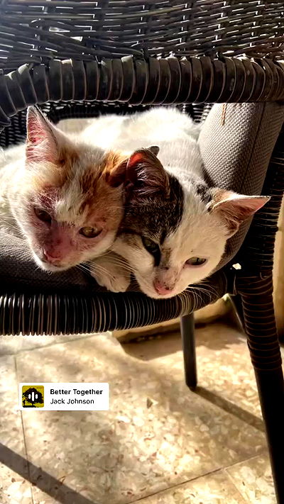 _femalien _femalien archive video