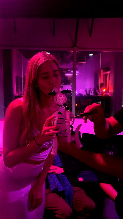 bakedsloths bakedsloths archive video