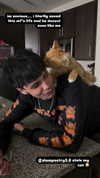 magg0tfleshh Altpins Profile Picture