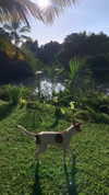 liori_hen Altpins Profile Picture