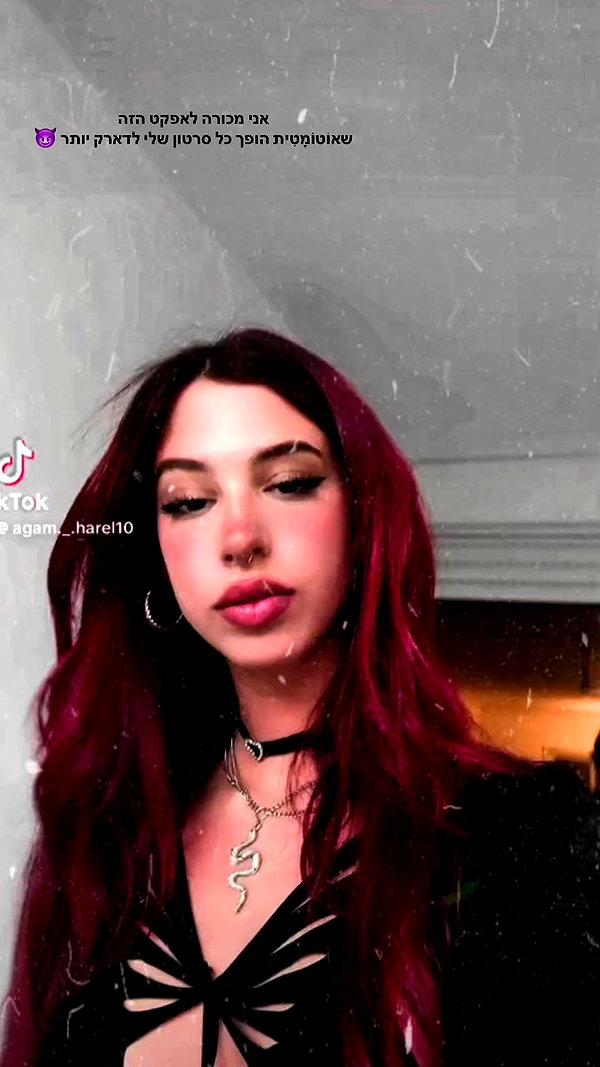agam._.harel archive video preview