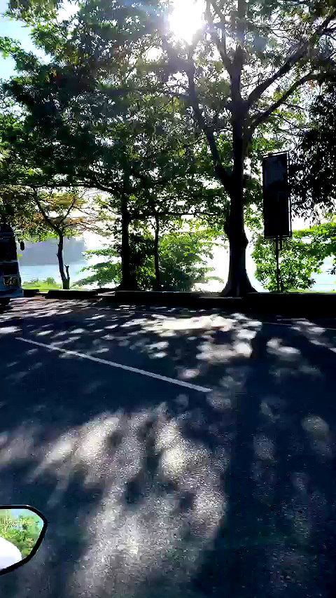 liori_hen archive video preview