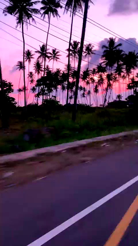 liori_hen archive video preview