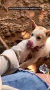 liori_hen Altpins Profile Picture