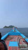 liori_hen Altpins Profile Picture