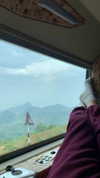liori_hen Altpins Profile Picture